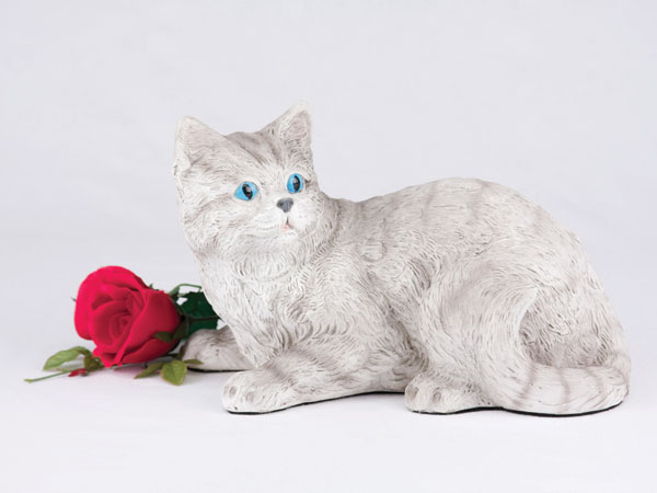 Shorthair Cat - Striped Gray Tabby