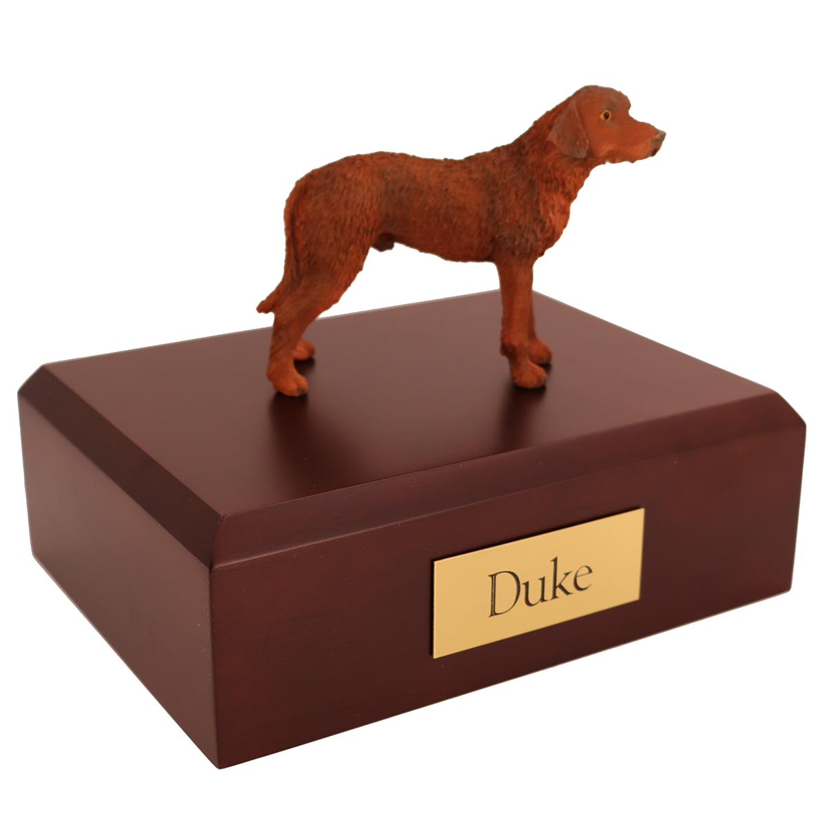 Dog, Chesapeake Bay Retriever - Figurine Urn